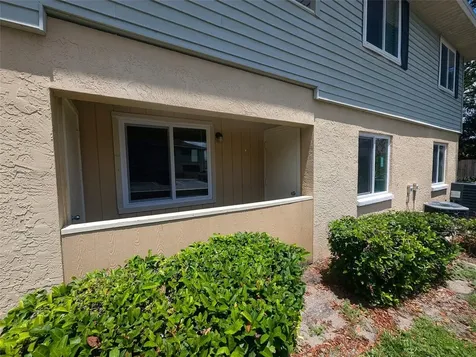 228 Thorn Tree Place Brandon FL 33510