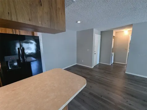 228 Thorn Tree Place Brandon FL 33510