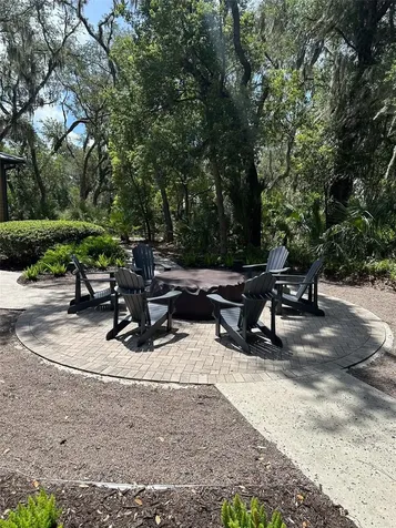 5732 Spotted Harrier Way Lithia FL 33547