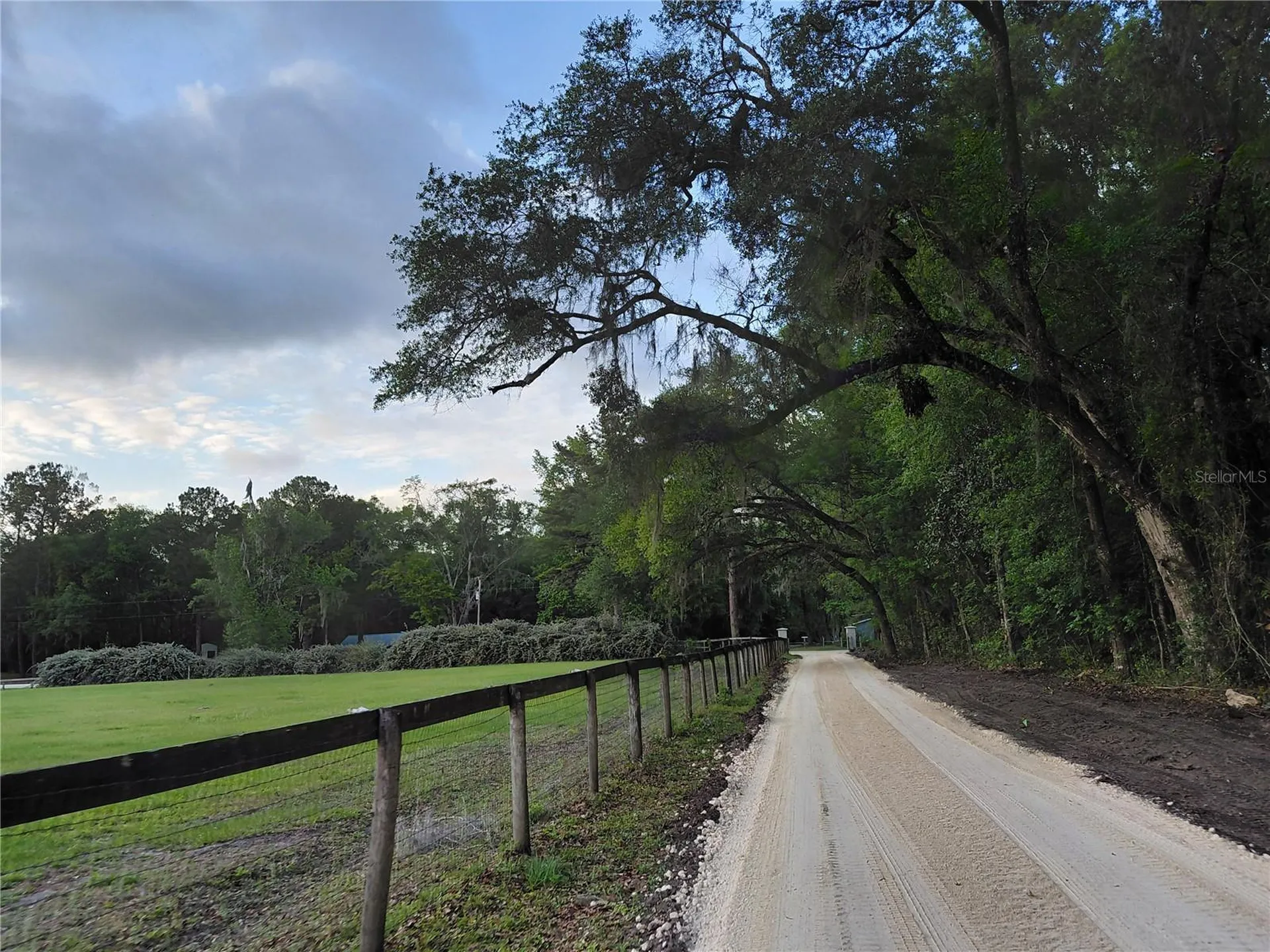 14810 NW 185 Street Williston FL 32696