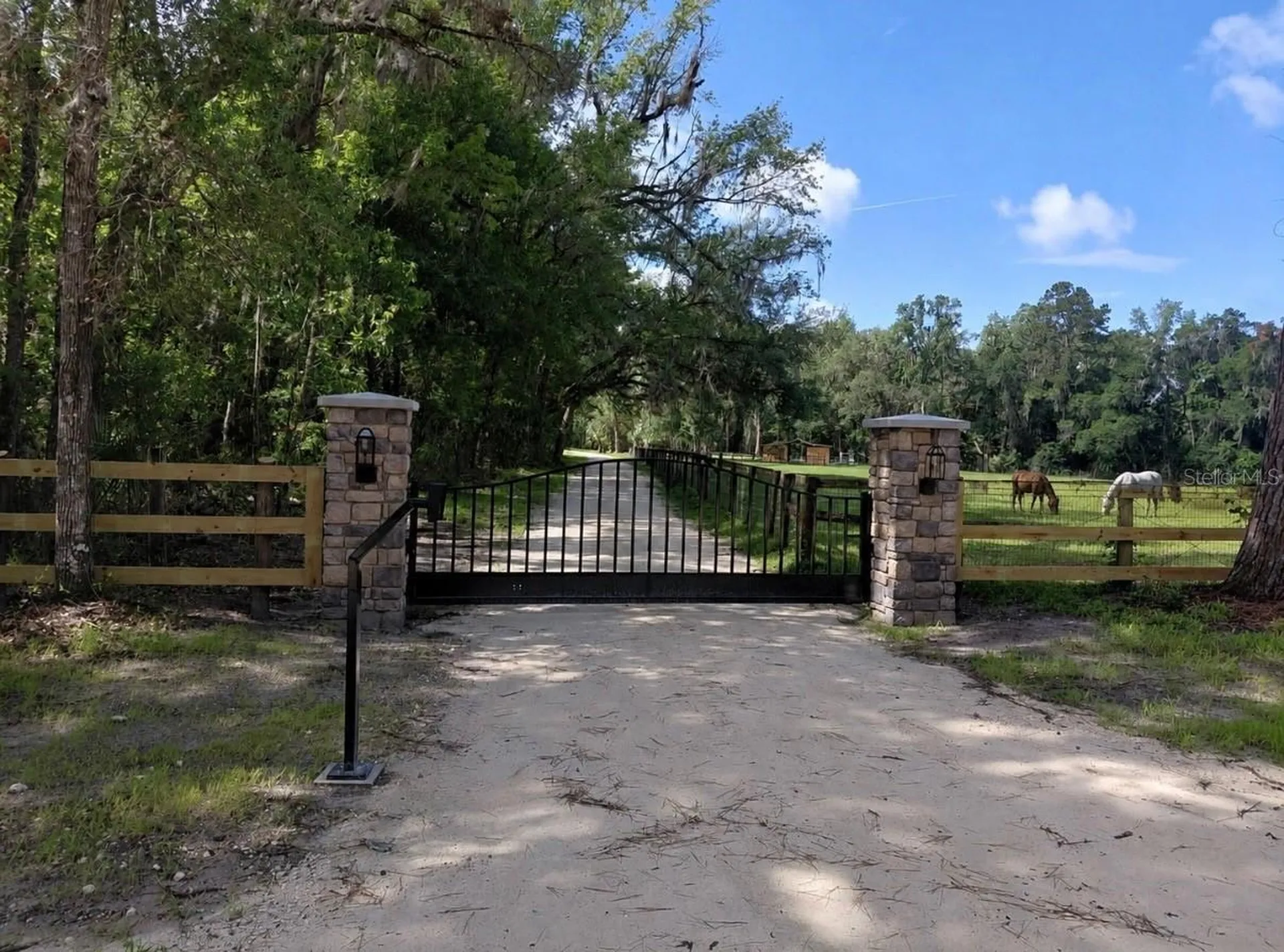 14810 NW 185 Street Williston FL 32696