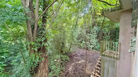 Km 14.5 Km 14.5 Ciales PR 00638