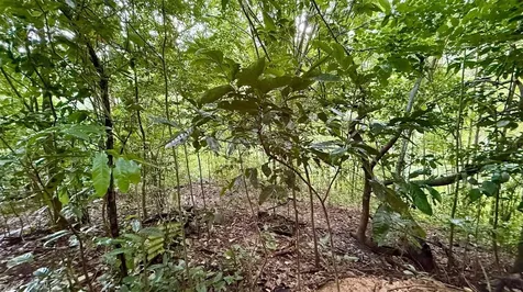 Km 14.5 Km 14.5 Ciales PR 00638