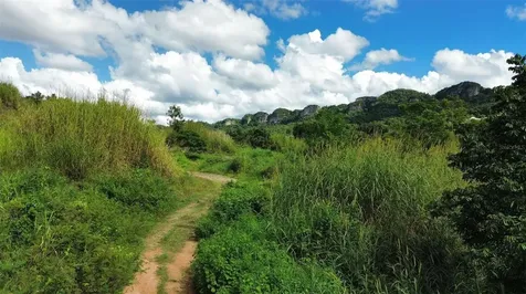 Km 14.5 Km 14.5 Ciales PR 00638