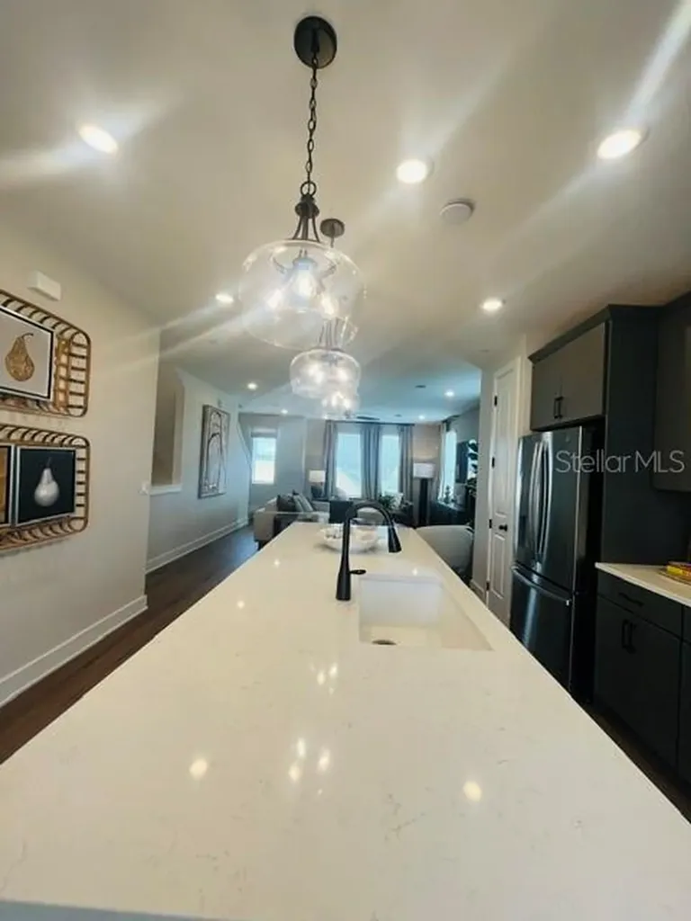 15501 Hamlin Park Drive Winter Garden FL 34787