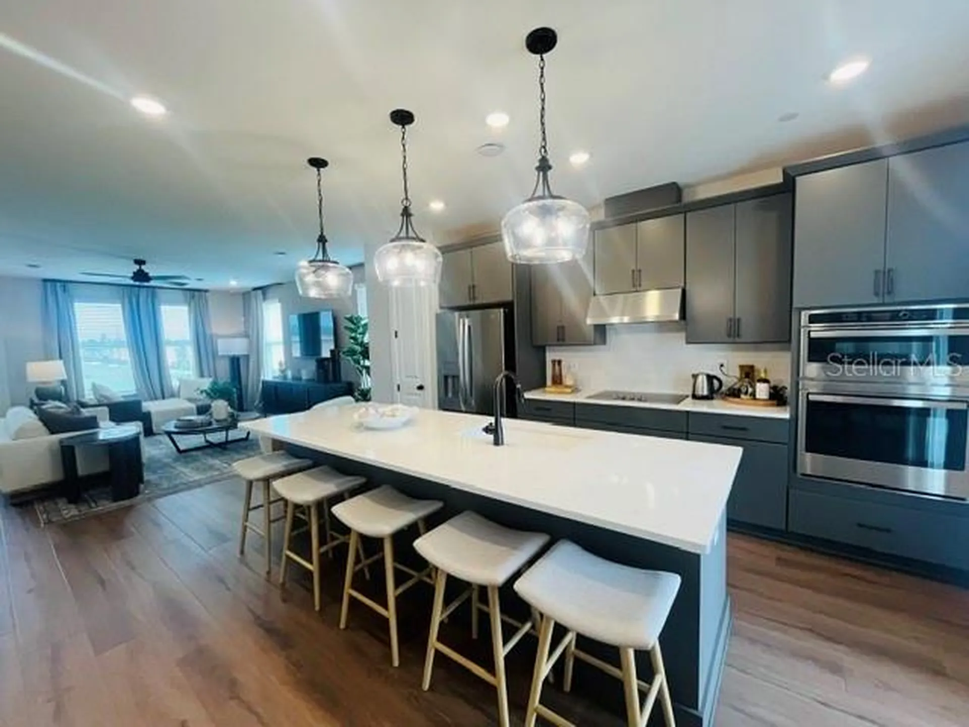 15501 Hamlin Park Drive Winter Garden FL 34787