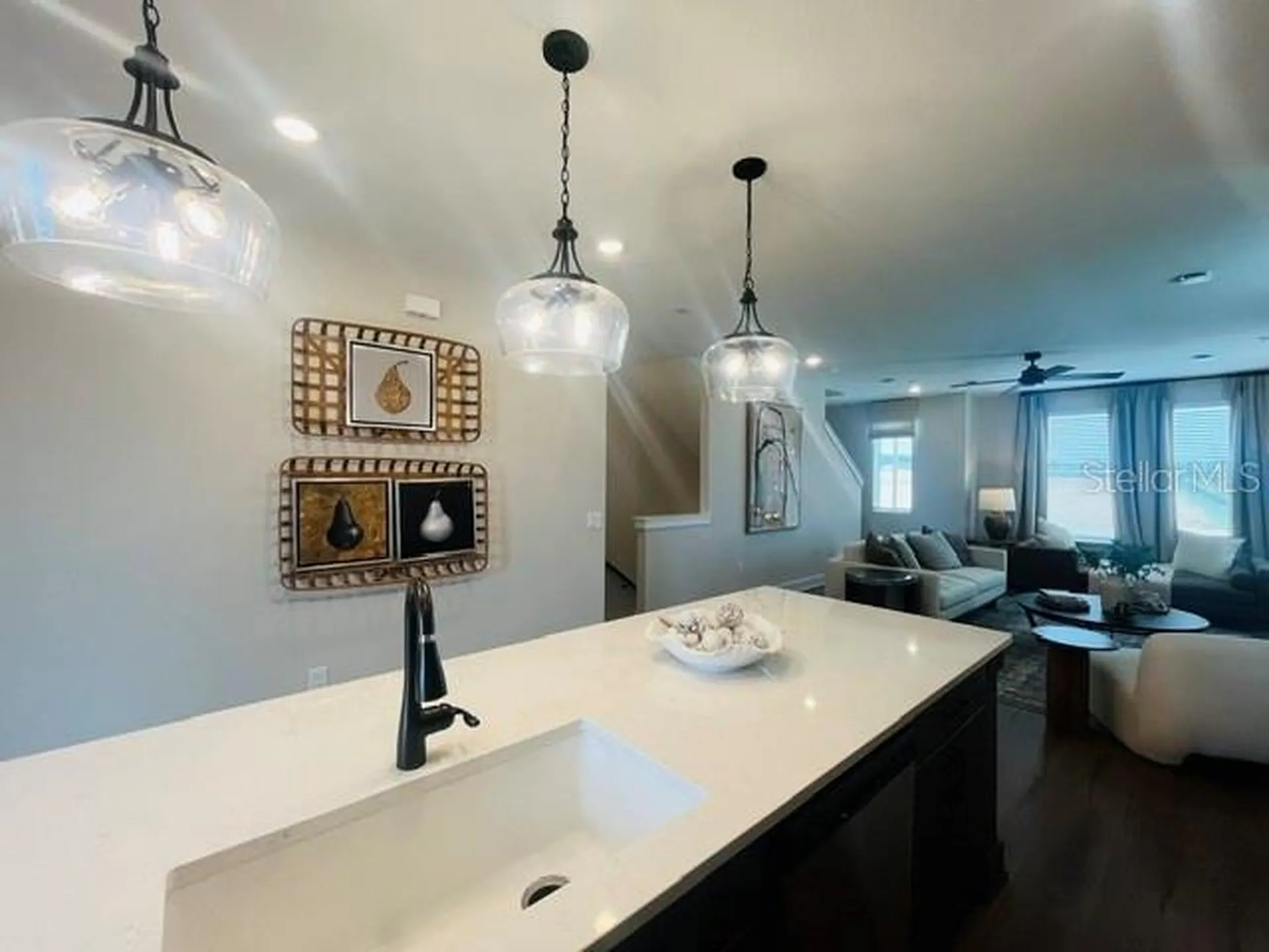 15501 Hamlin Park Drive Winter Garden FL 34787