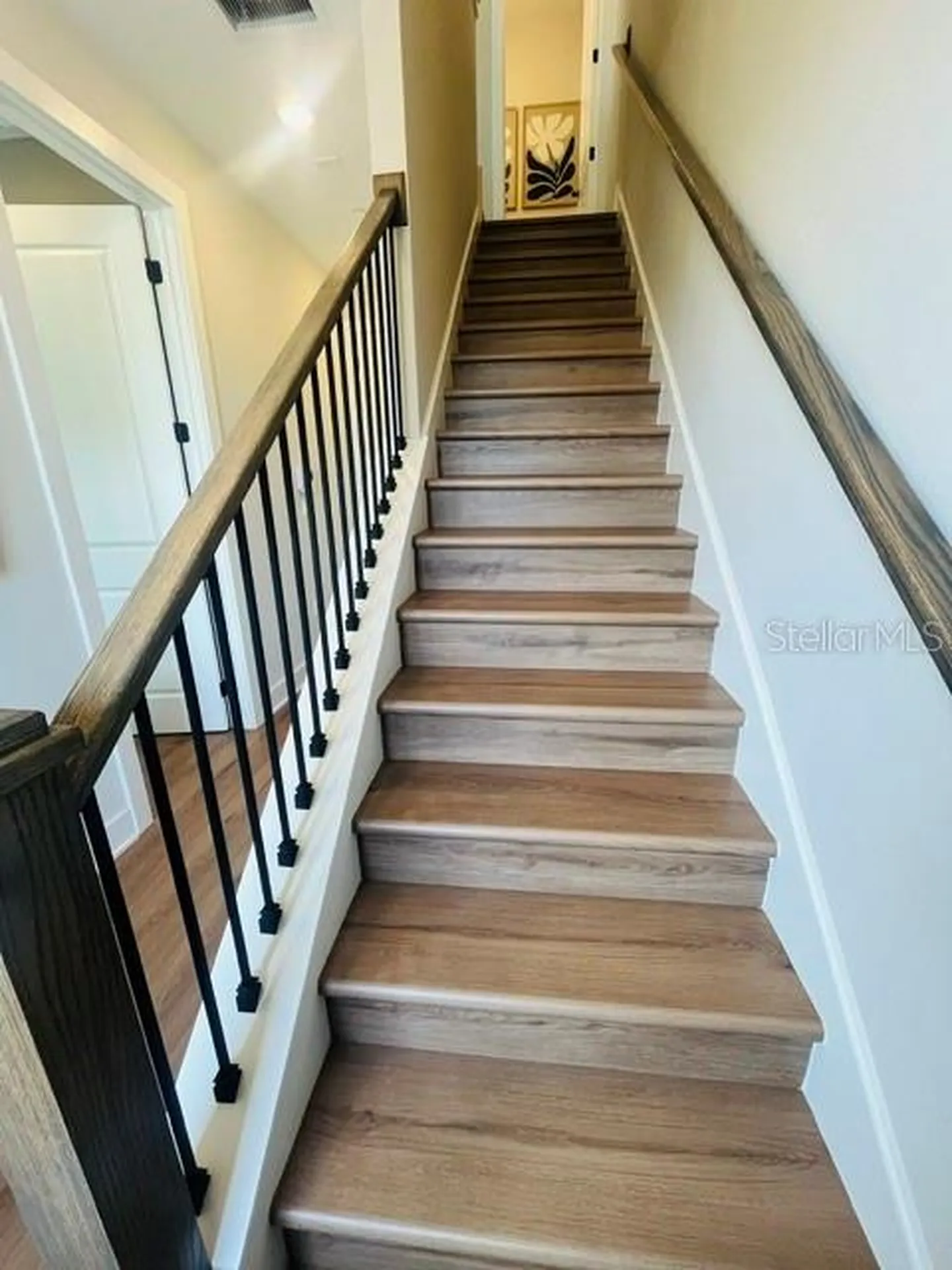 15501 Hamlin Park Drive Winter Garden FL 34787