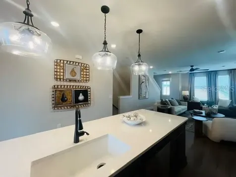15501 Hamlin Park Drive Winter Garden FL 34787