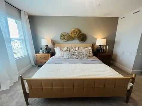 15501 Hamlin Park Drive Winter Garden FL 34787