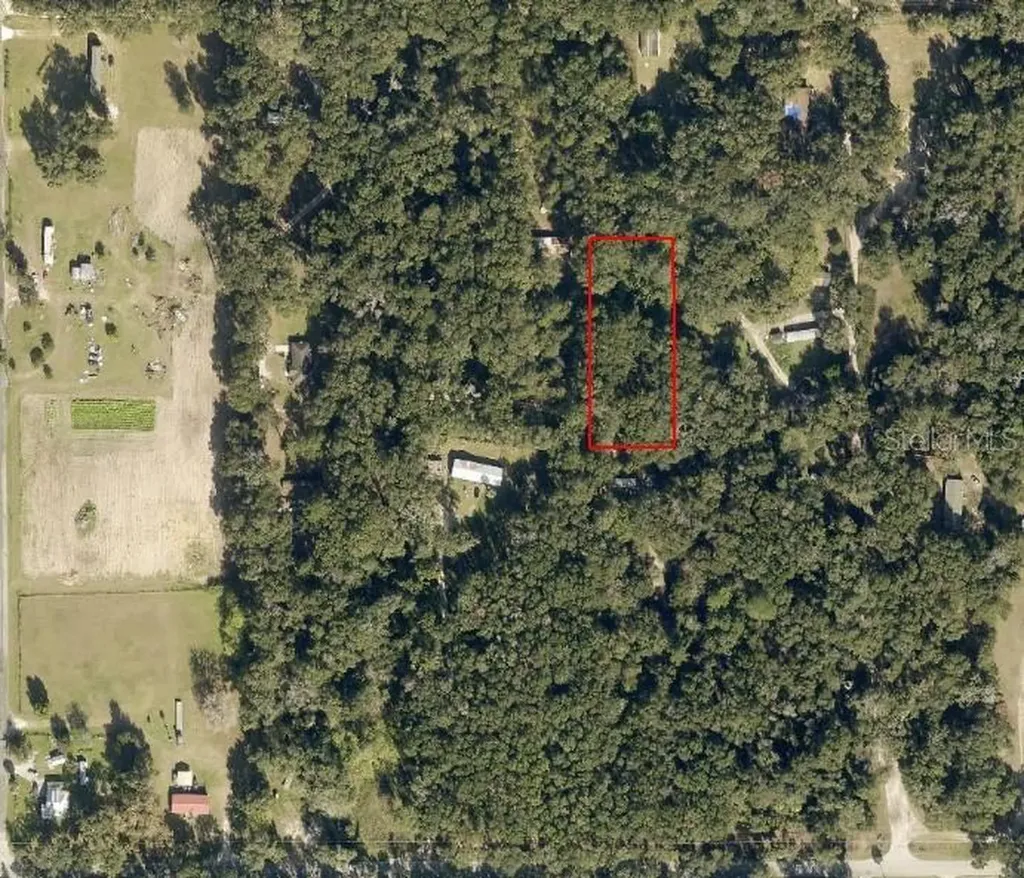 3069 NW 151st Place Reddick FL 32686