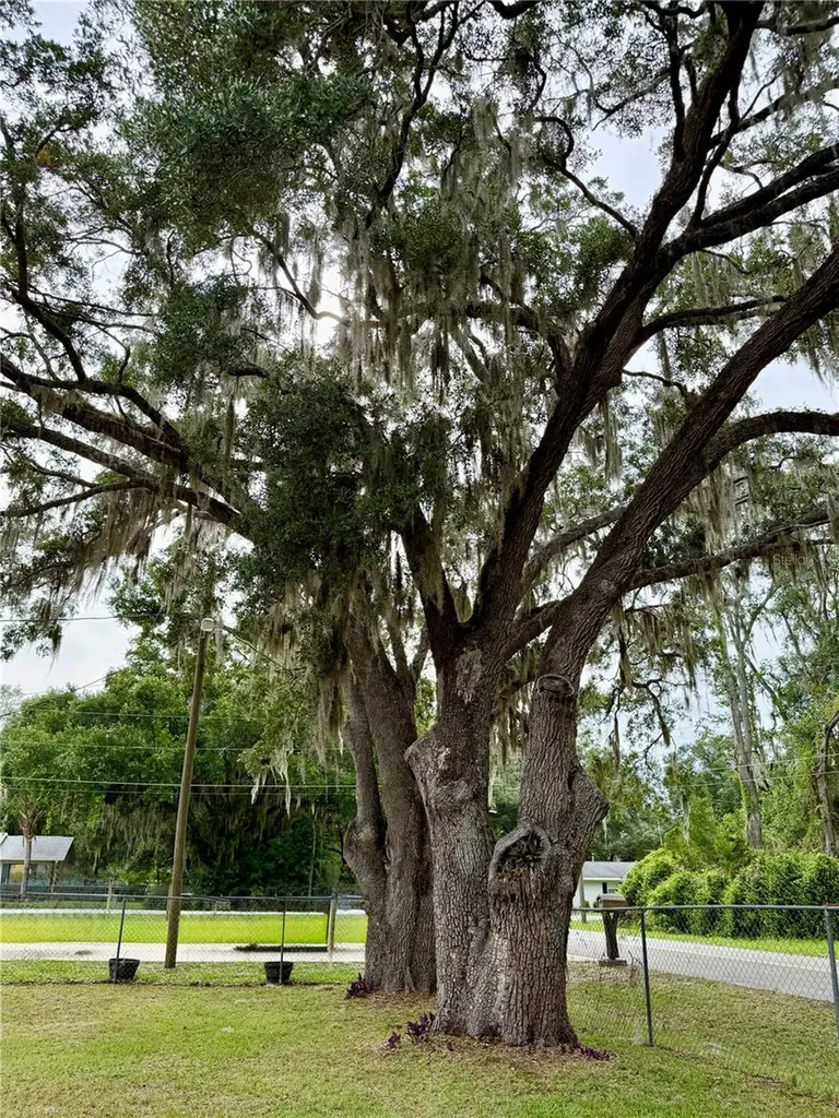 9310 SE 164th Place Summerfield FL 34491
