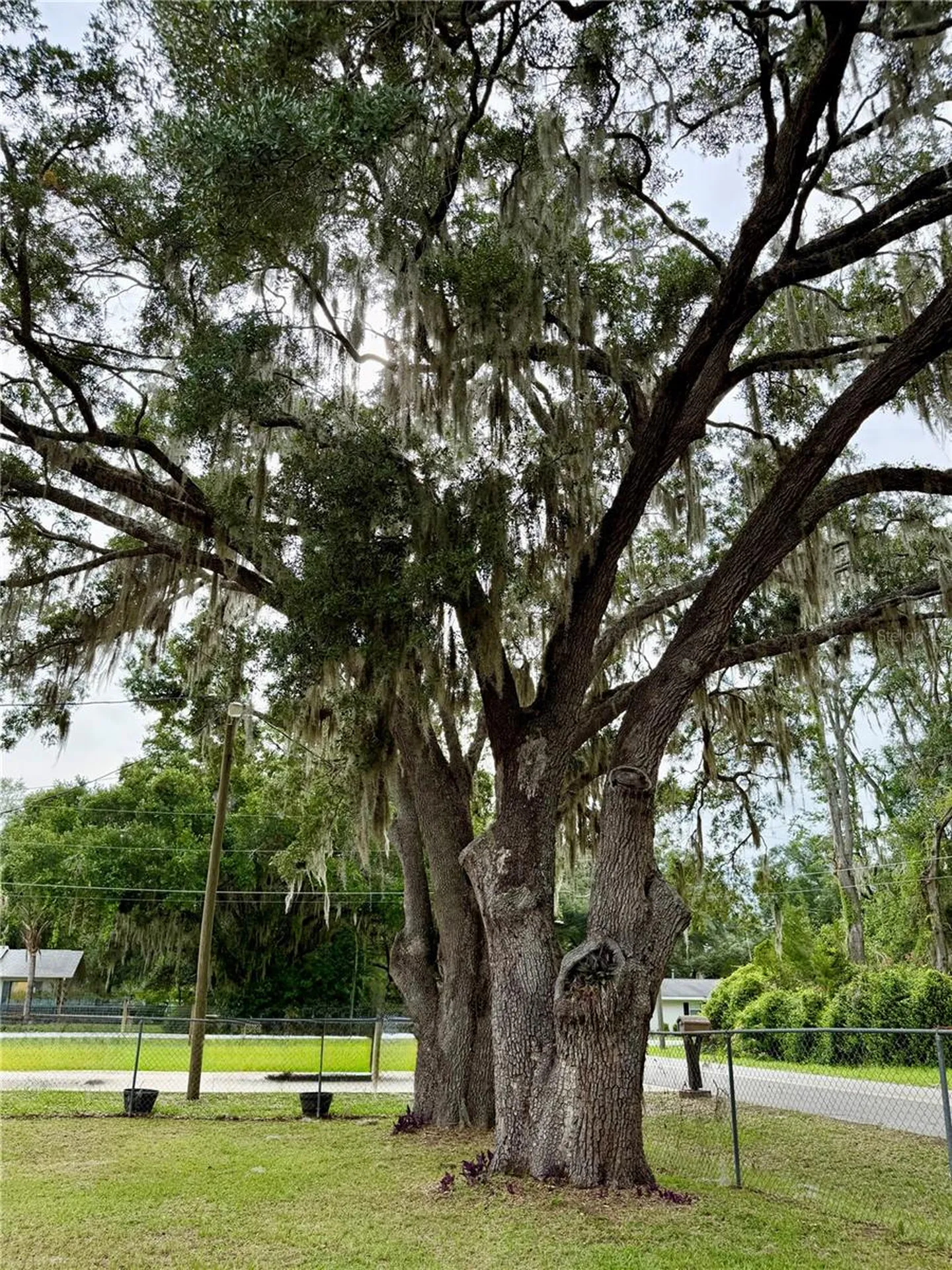 9310 SE 164th Place Summerfield FL 34491