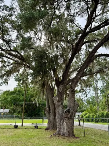 9310 SE 164th Place Summerfield FL 34491