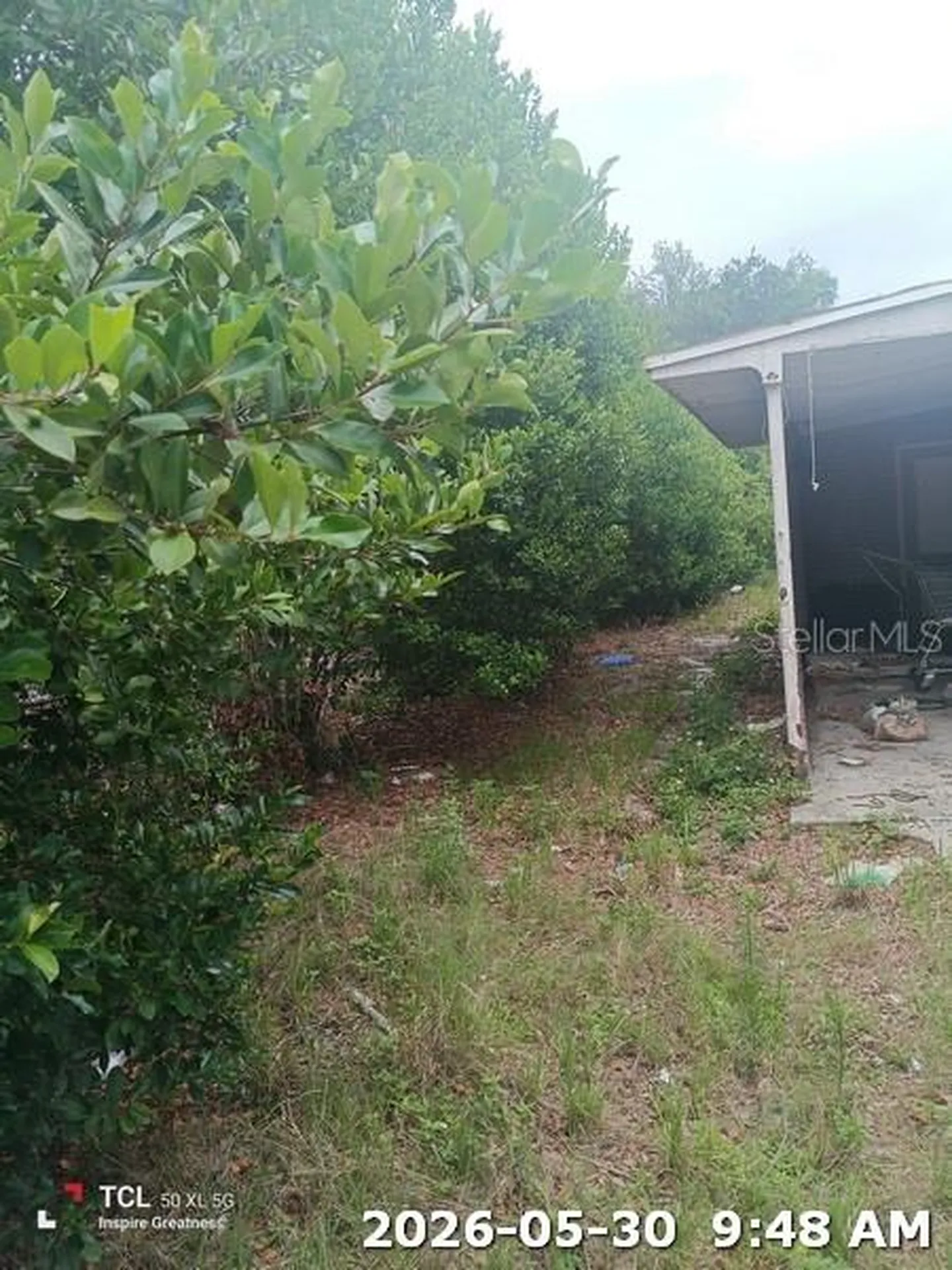 1114 30th Street NW Winter Haven FL 33881