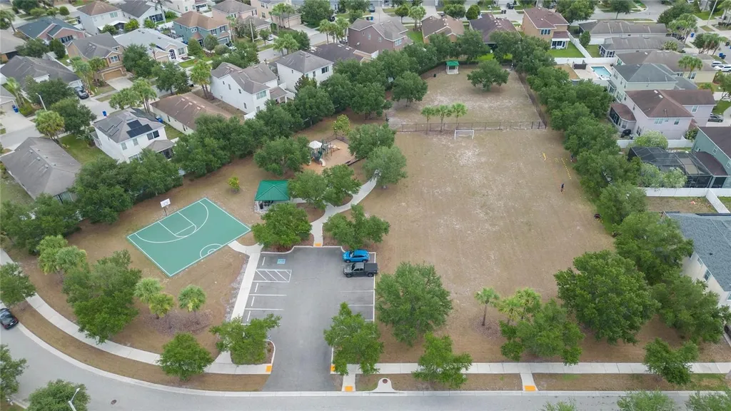 7020 Blue Beech Drive Riverview FL 33578
