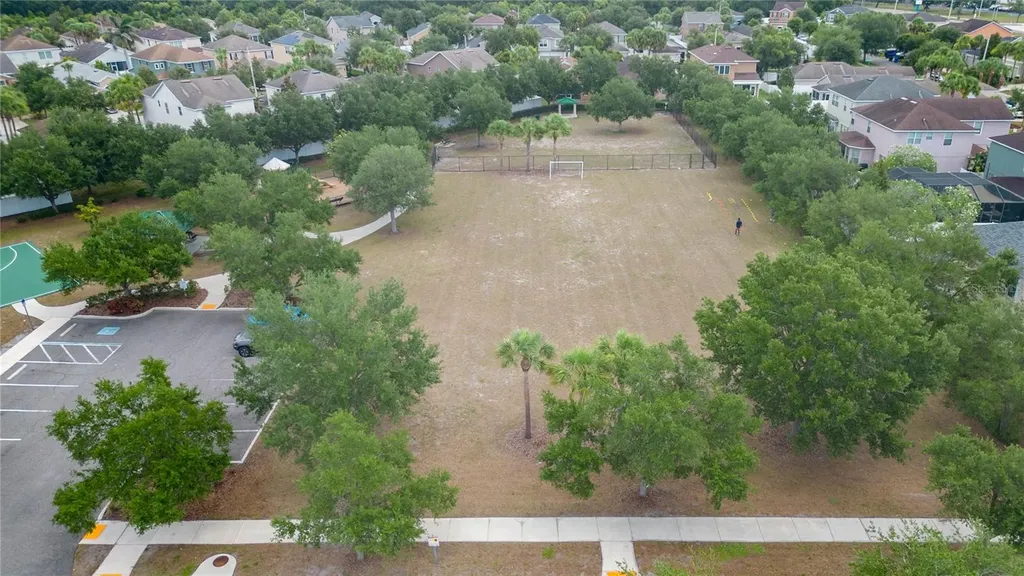 7020 Blue Beech Drive Riverview FL 33578