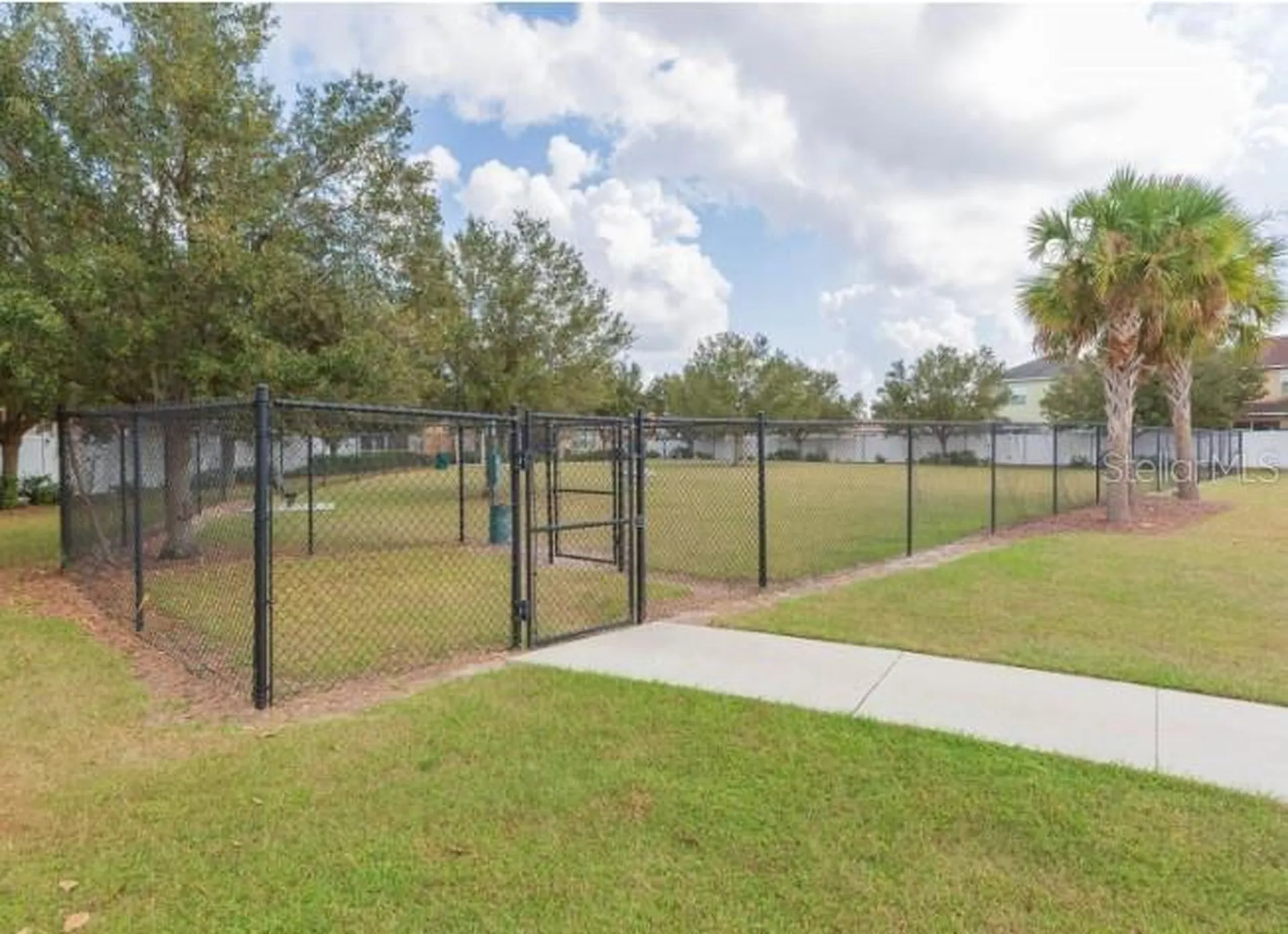 7020 Blue Beech Drive Riverview FL 33578