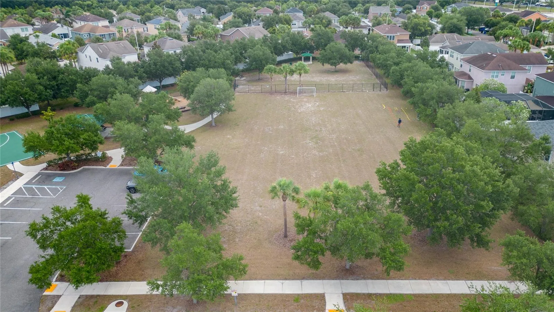 7020 Blue Beech Drive Riverview FL 33578