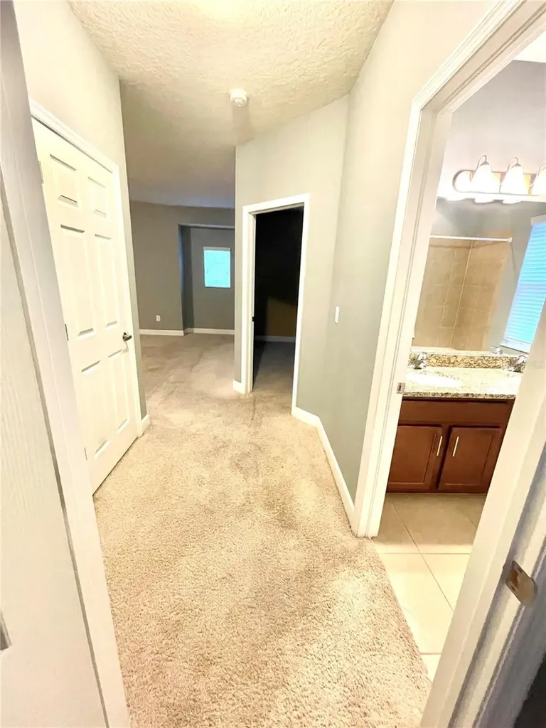 21648 Southern Charm Drive Land O Lakes FL 34637
