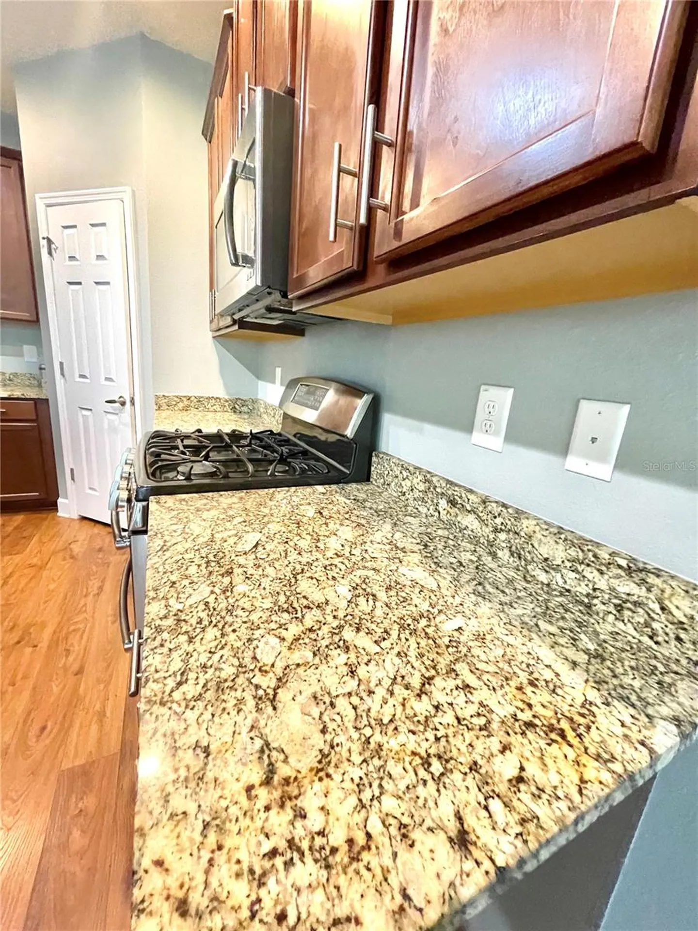 21648 Southern Charm Drive Land O Lakes FL 34637