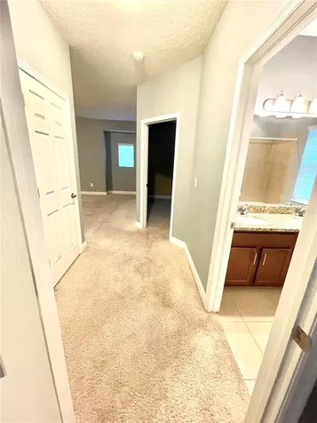 21648 Southern Charm Drive Land O Lakes FL 34637