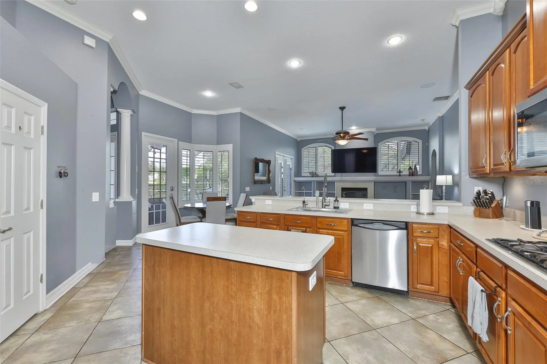 16508 Amberwind Lane Lutz FL 33558