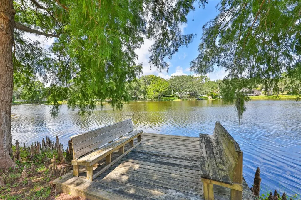 3148 Autumn Drive Palm Harbor FL 34683