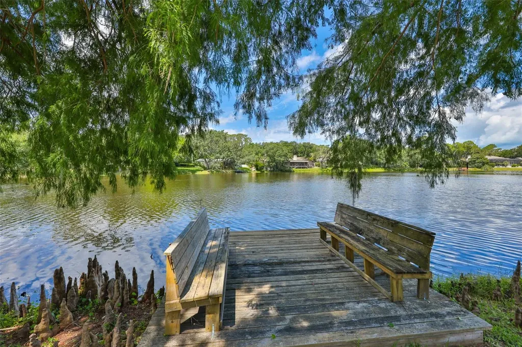 3148 Autumn Drive Palm Harbor FL 34683