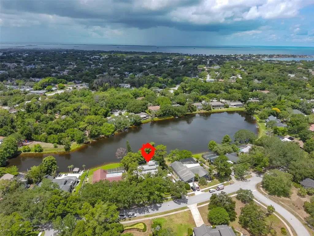3148 Autumn Drive Palm Harbor FL 34683