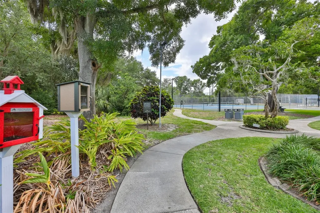 3148 Autumn Drive Palm Harbor FL 34683