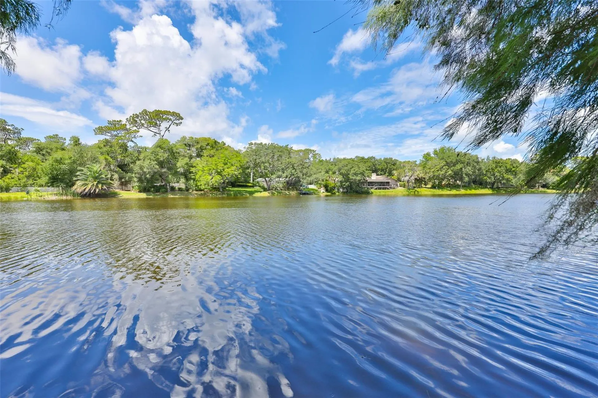 3148 Autumn Drive Palm Harbor FL 34683
