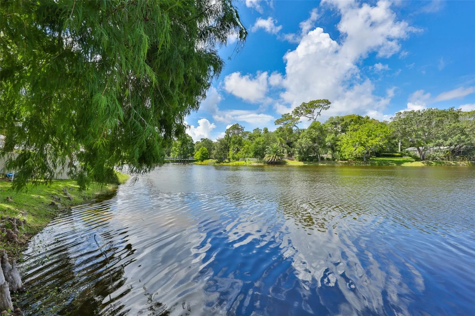 3148 Autumn Drive Palm Harbor FL 34683
