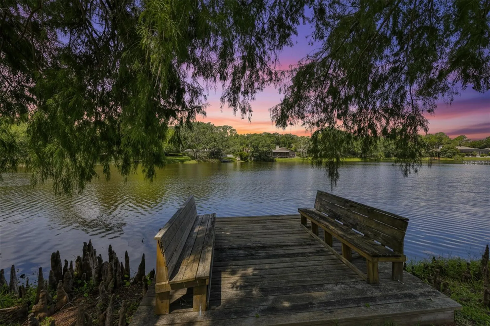 3148 Autumn Drive Palm Harbor FL 34683