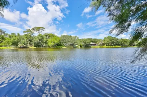 3148 Autumn Drive Palm Harbor FL 34683