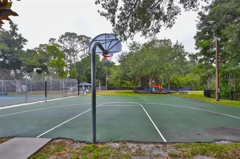 3148 Autumn Drive Palm Harbor FL 34683