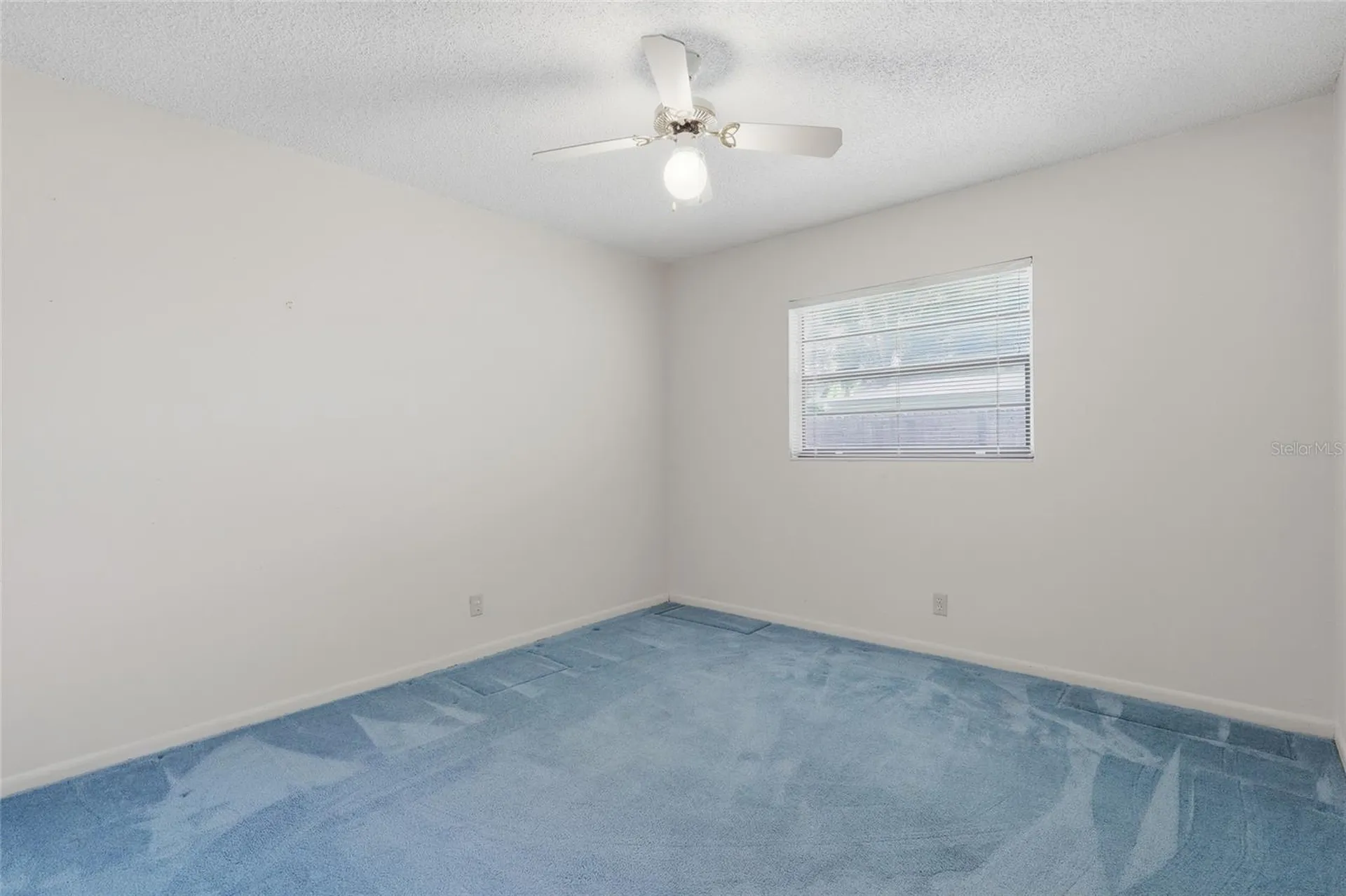 4923 17th Street Zephyrhills FL 33542
