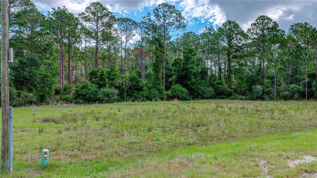 132 Glenside Street Georgetown FL 32139