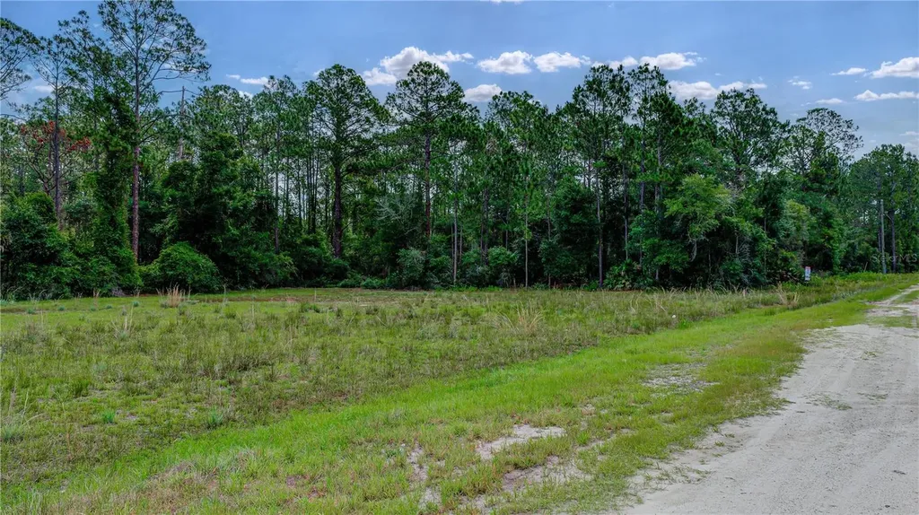 132 Glenside Street Georgetown FL 32139