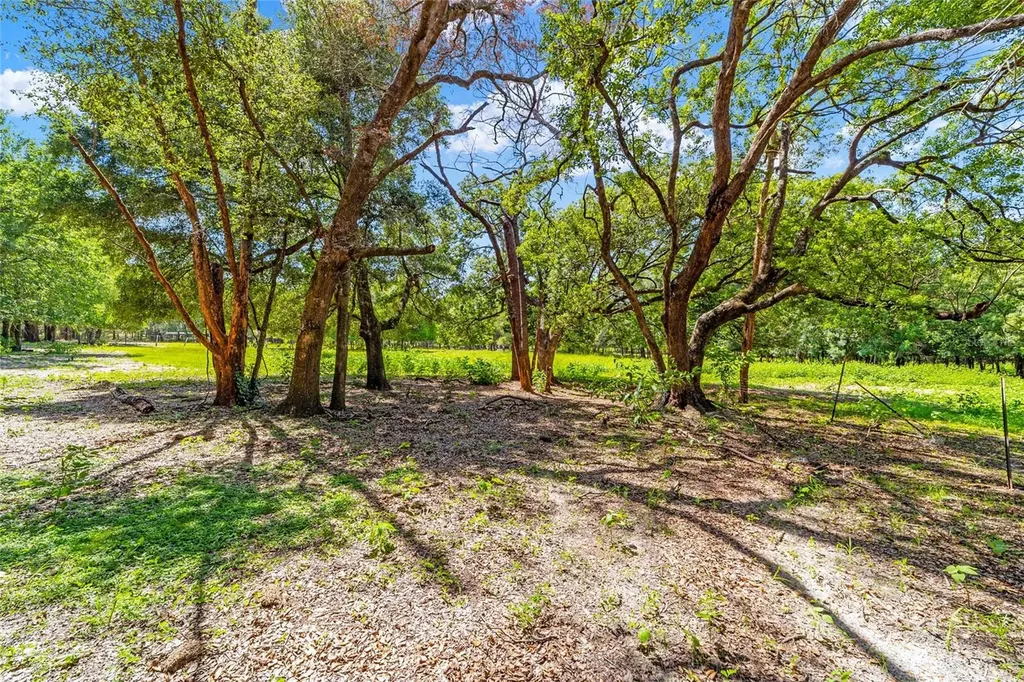 11768 N Gatlen Avenue Dunnellon FL 34433