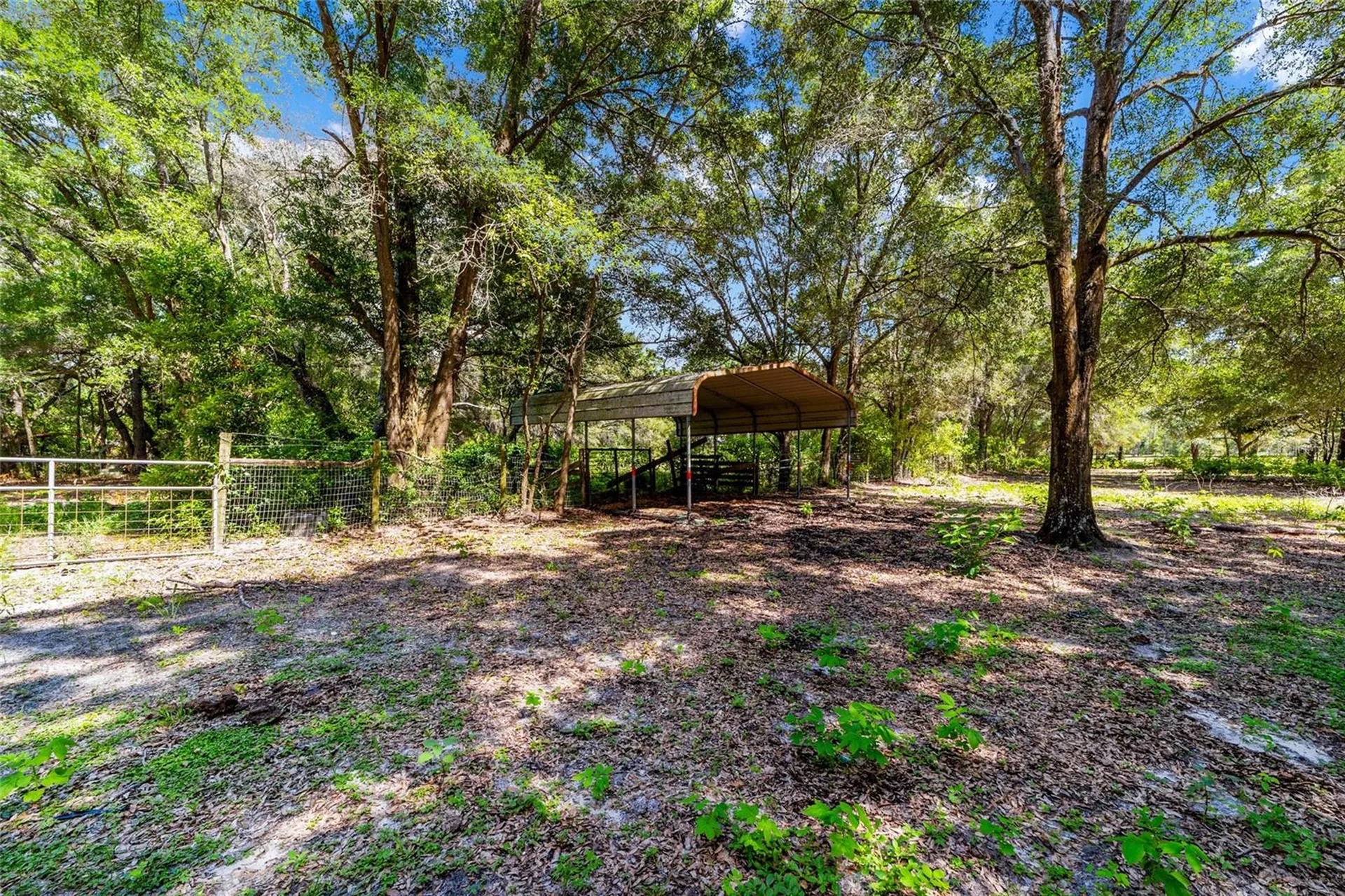 11768 N Gatlen Avenue Dunnellon FL 34433
