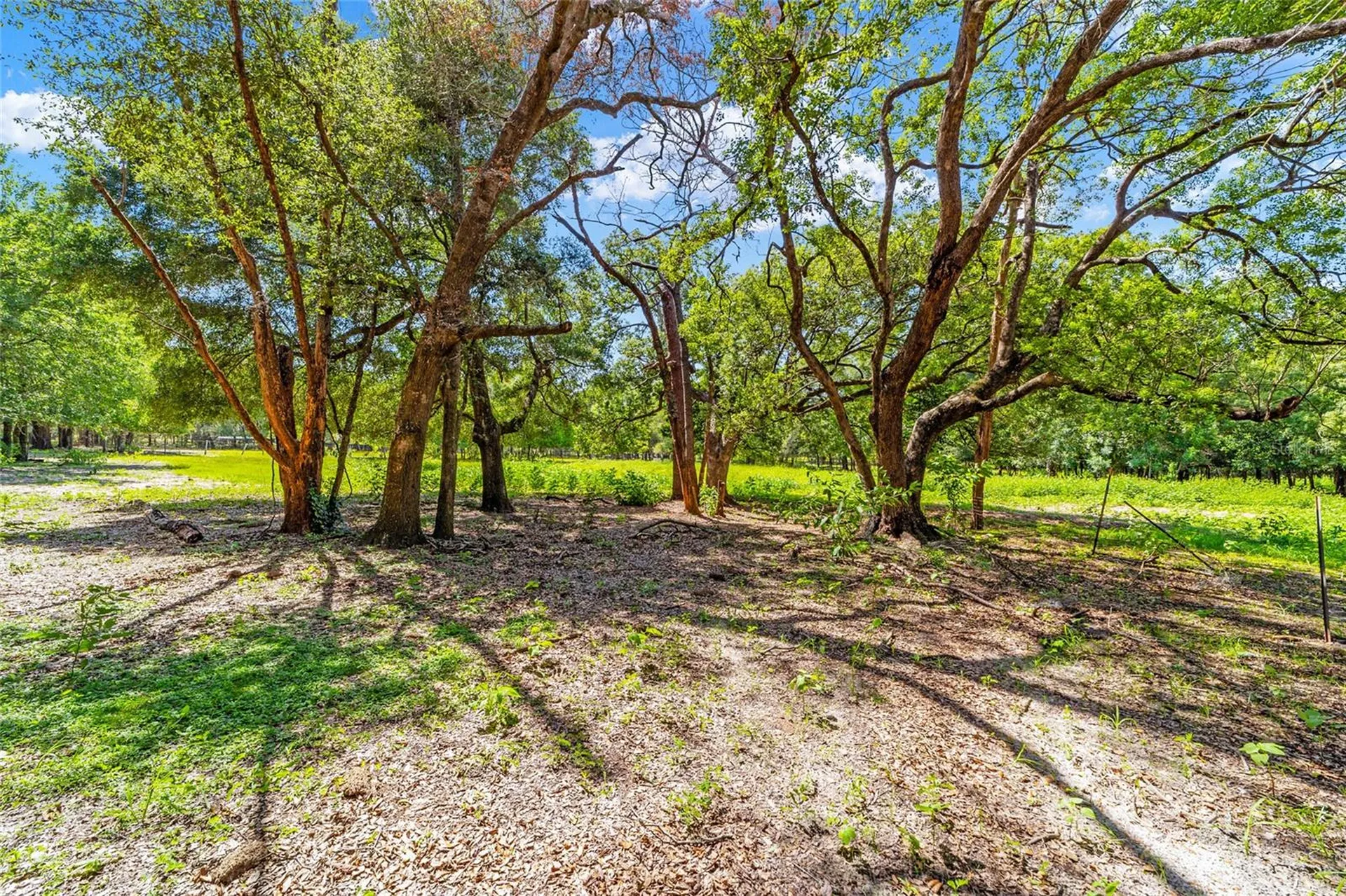 11768 N Gatlen Avenue Dunnellon FL 34433