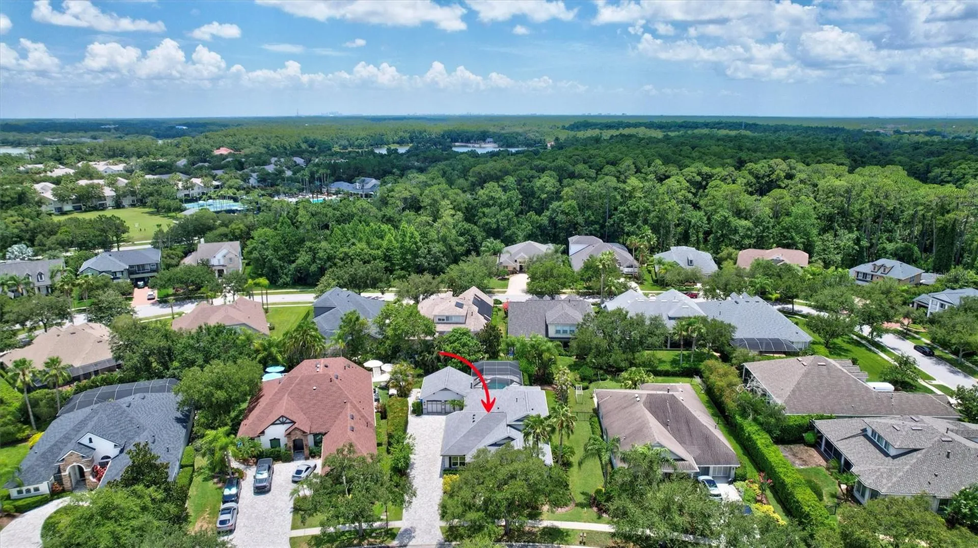 11908 Meridian Point Drive Tampa FL 33626