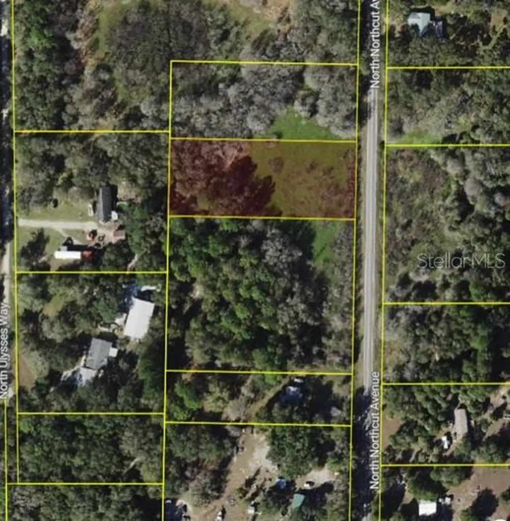 9682 N Northcut Avenue Crystal River FL 34428