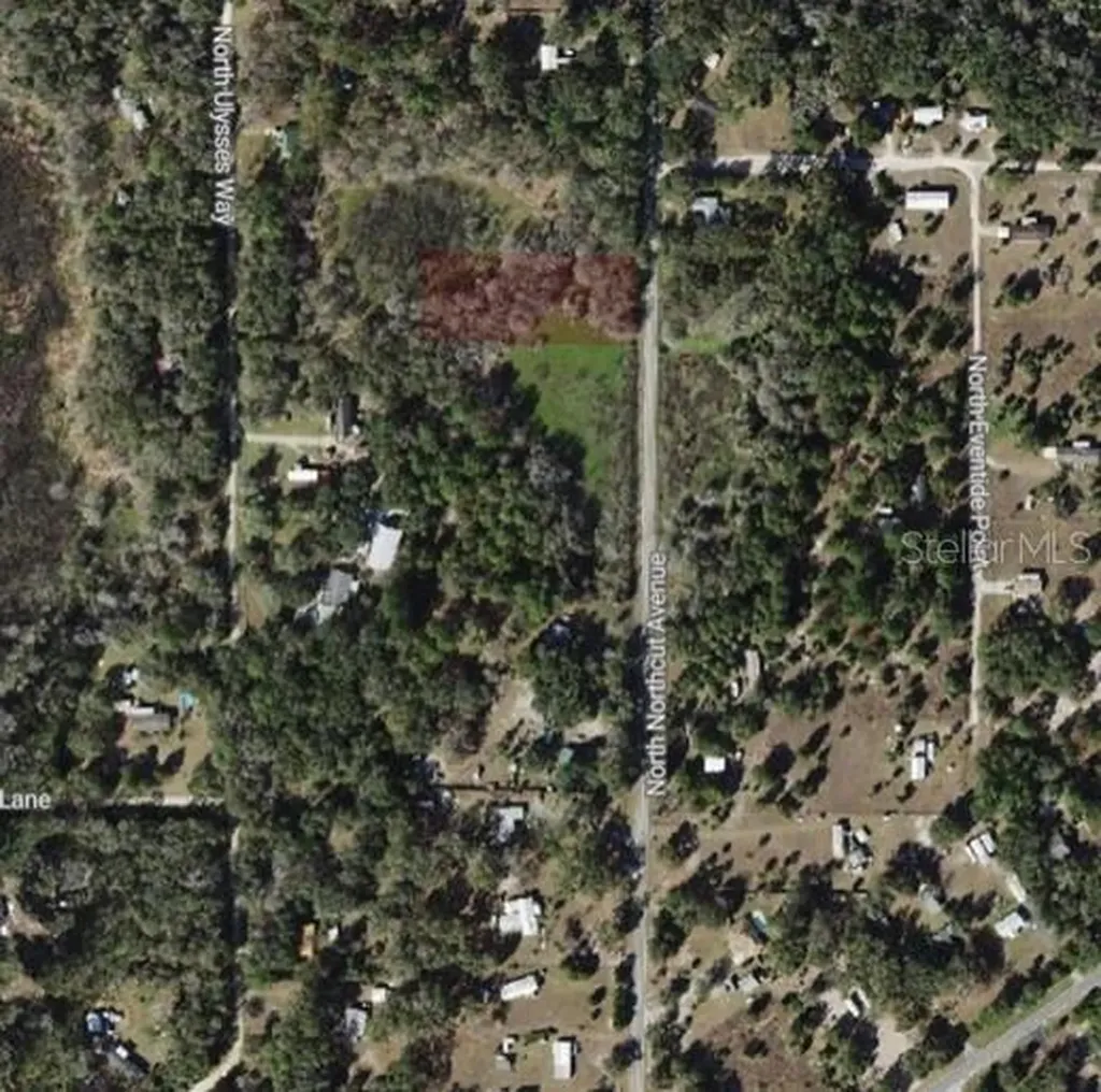 9682 N Northcut Avenue Crystal River FL 34428