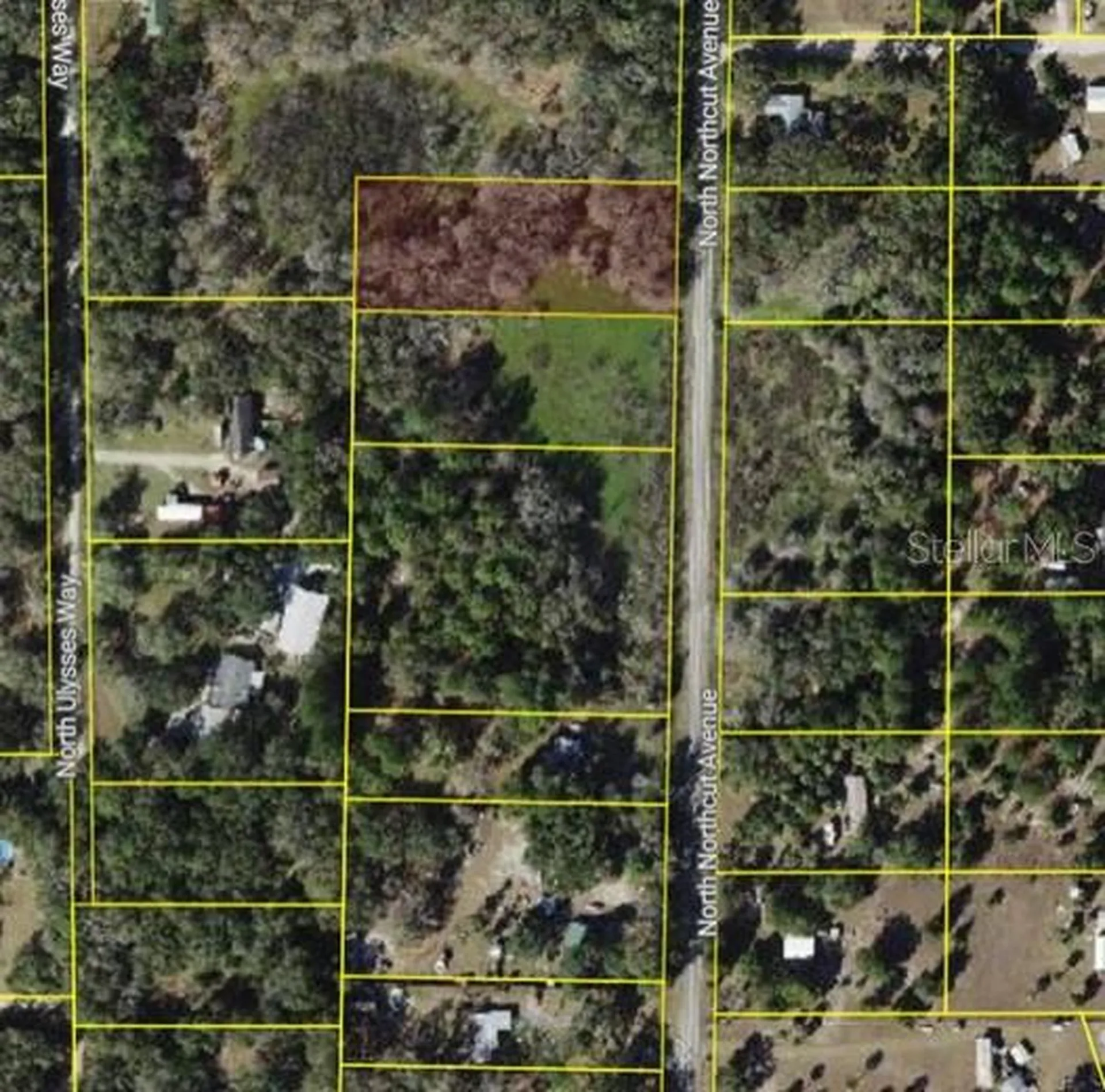 9682 N Northcut Avenue Crystal River FL 34428