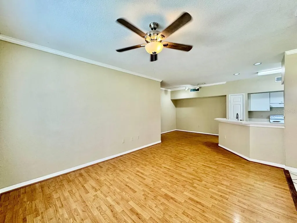 10440 White Lake Court Tampa FL 33626