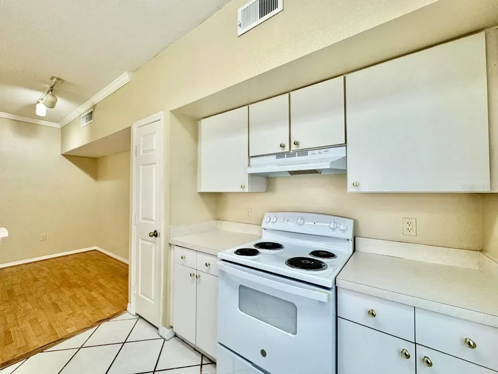 10440 White Lake Court Tampa FL 33626