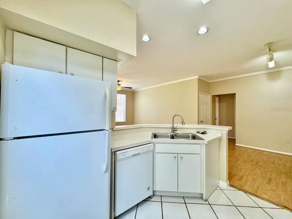 10440 White Lake Court Tampa FL 33626
