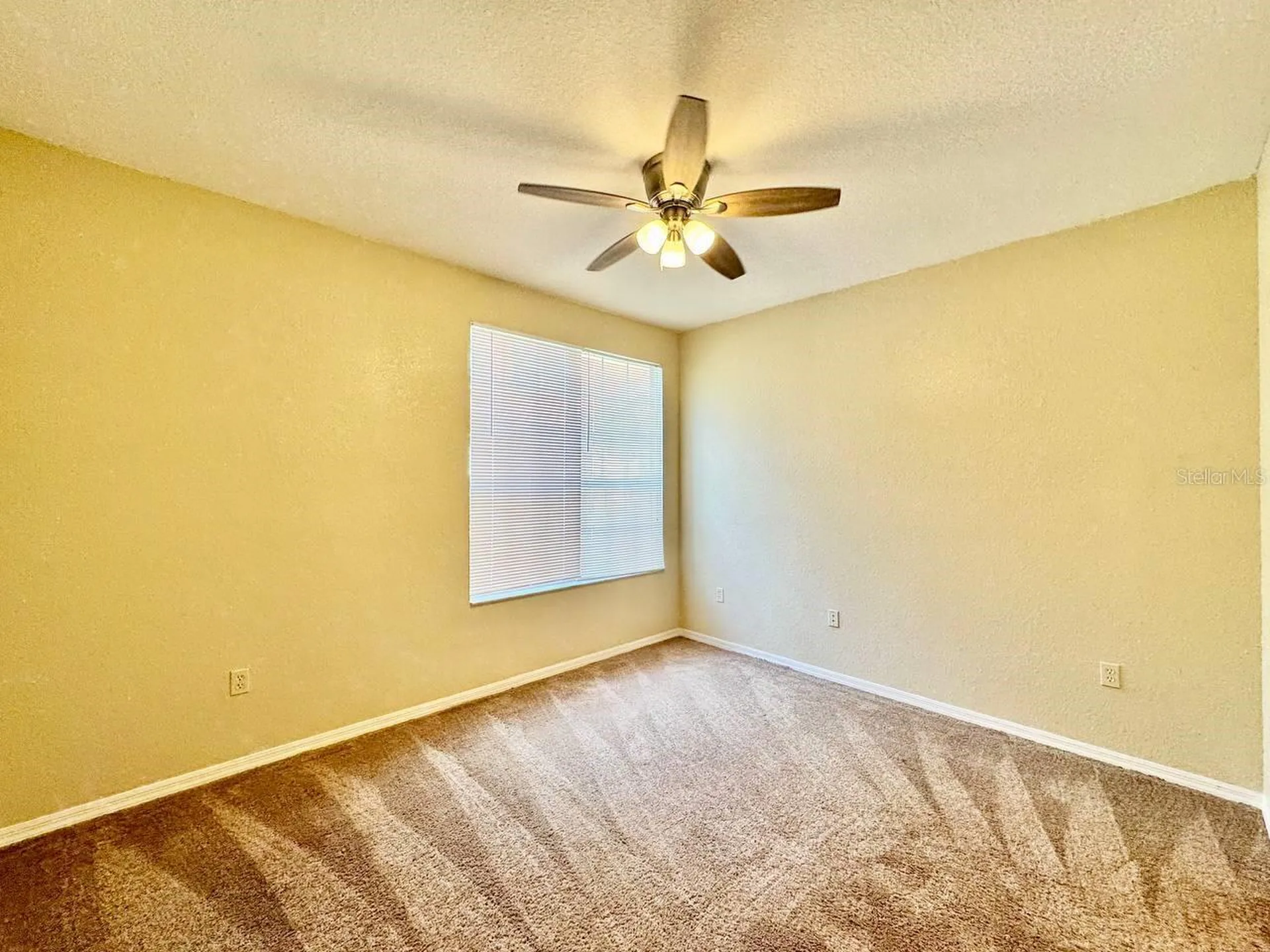 10440 White Lake Court Tampa FL 33626